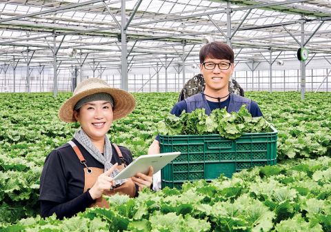 ‘수경재배 스마트팜’ 전환하고 엔지니어·농부로서 도전 중
